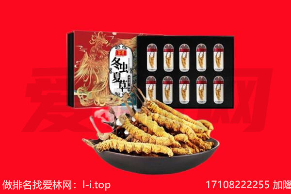 海北回收虫草.jpg